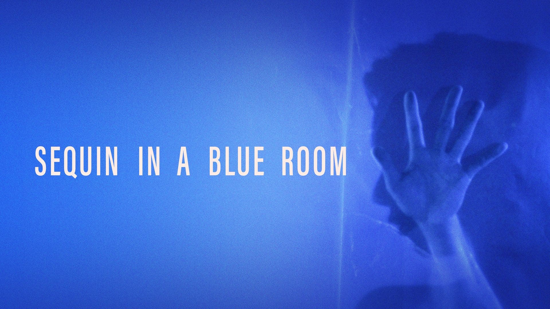 Sequin in a Blue Room