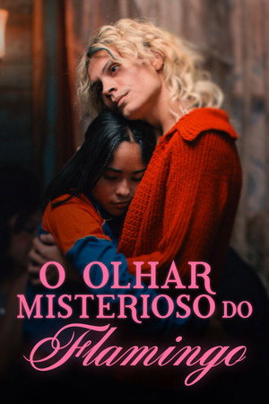 O Olhar Misterioso do Flamingo