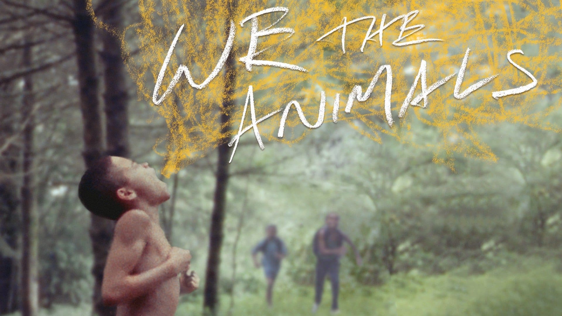 We the Animals